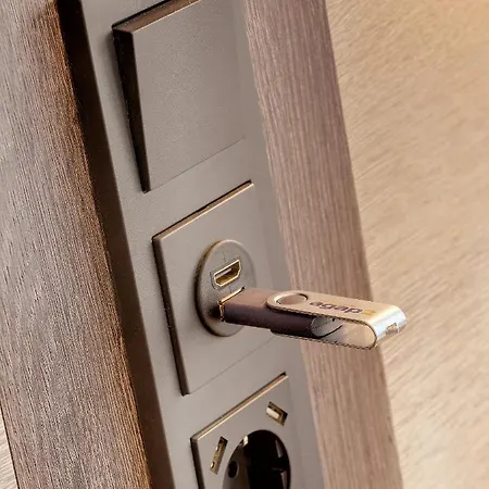 Newton 루드빅스하펜 암 라인